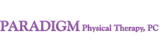 Paradigm Logo